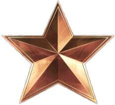 Bronze star